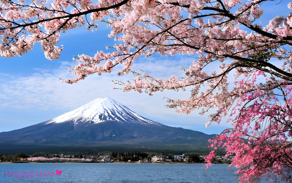 kapan waktu terbaik dan termurah mengunjungi jepang